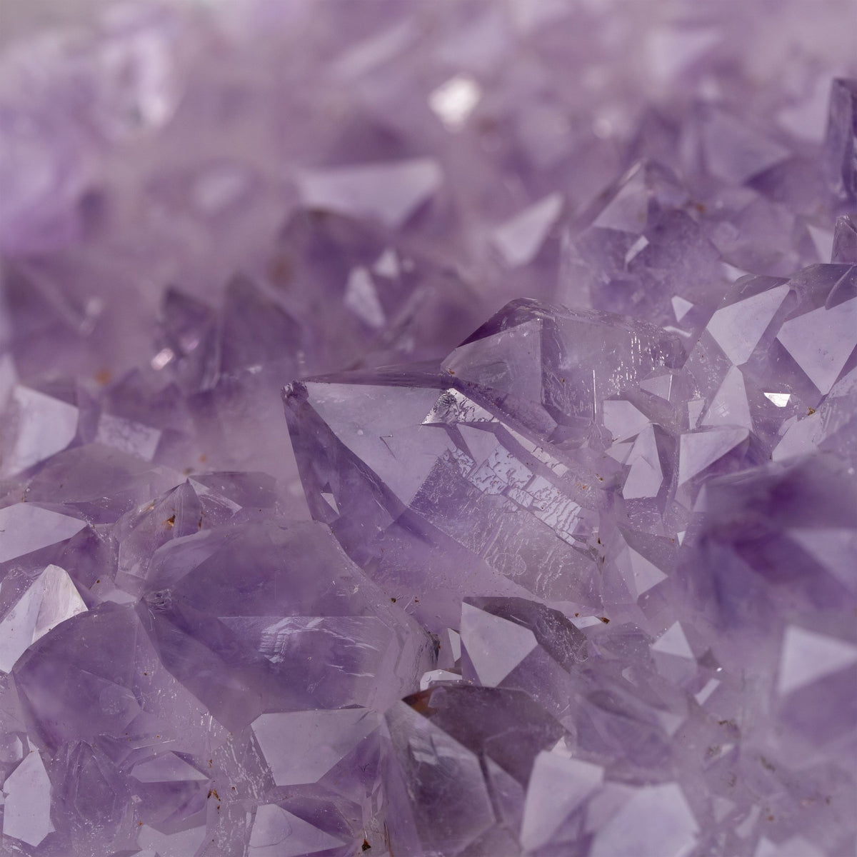 Amethyst Achat Dose - Epomina