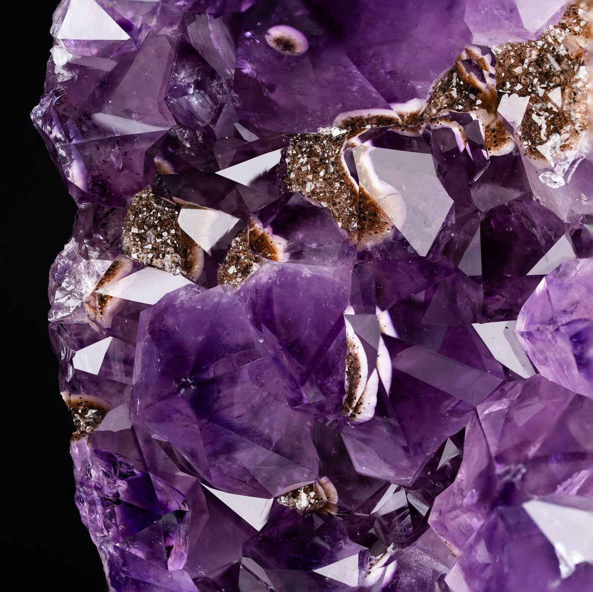 Amethyst - Druse mit außergewöhnlichen Einschlüssen - Epomina