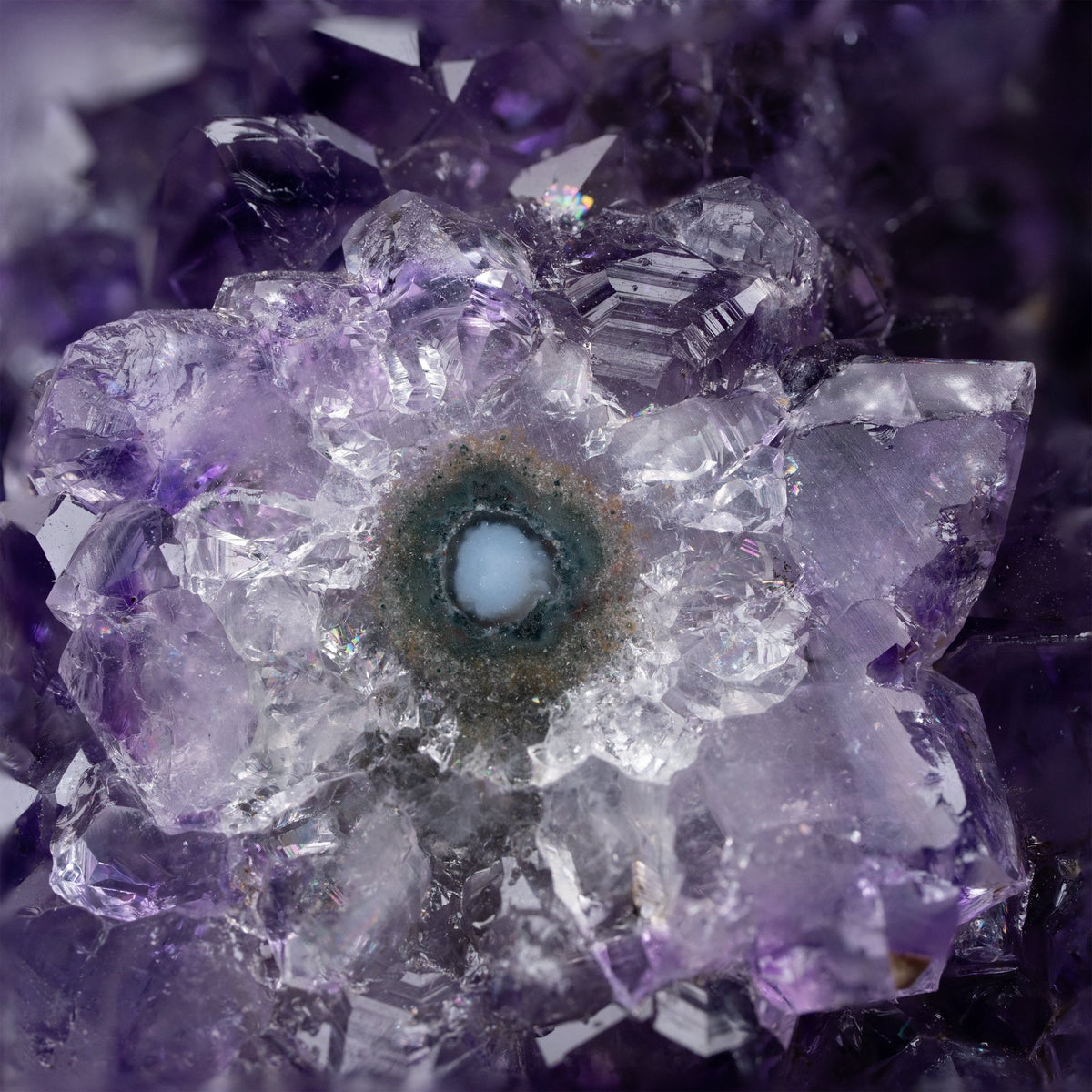 Amethyst mit Stalaktit - Blume auf Stand - Epomina
