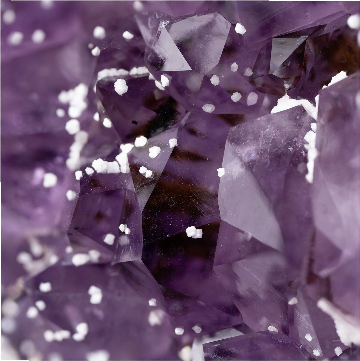 Amethyst mit Sugar auf Stand - Epomina