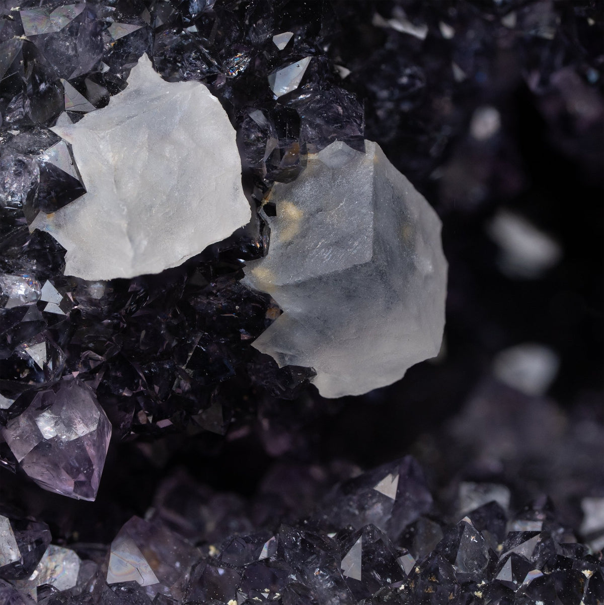 Dunkle Amethyst Druse auf Stand mit Funkelnde Höhle und Calcit - Epomina