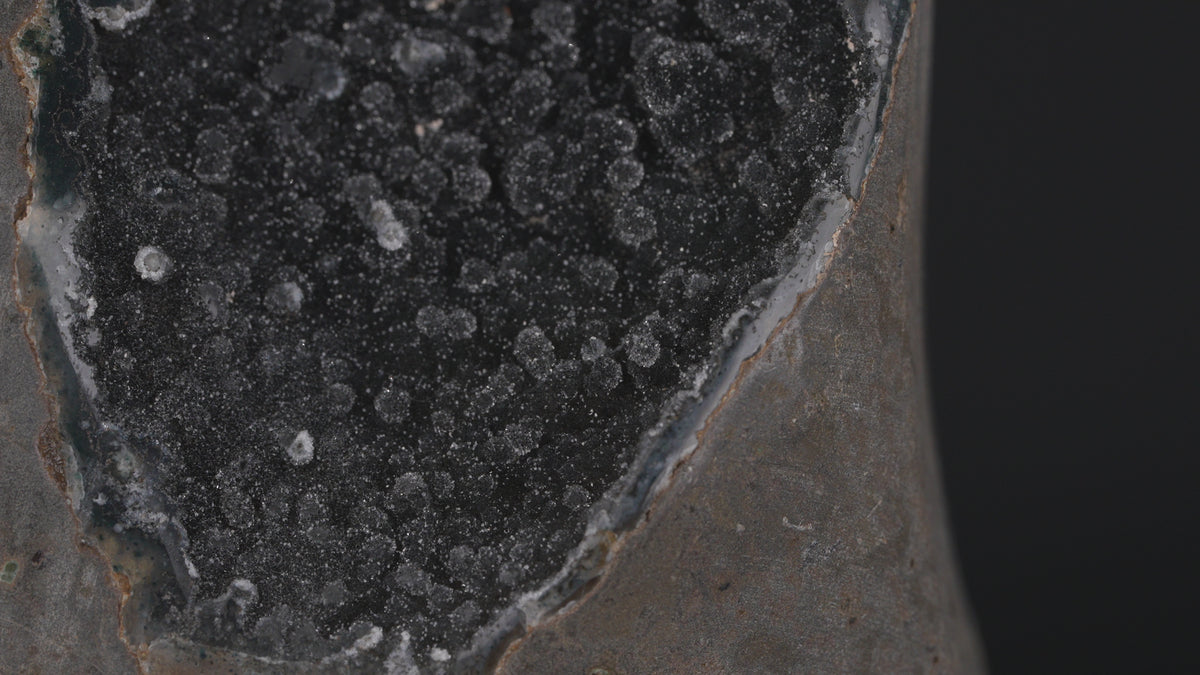 "Black" Amethyst on Stand – Glittering Crystal Druse