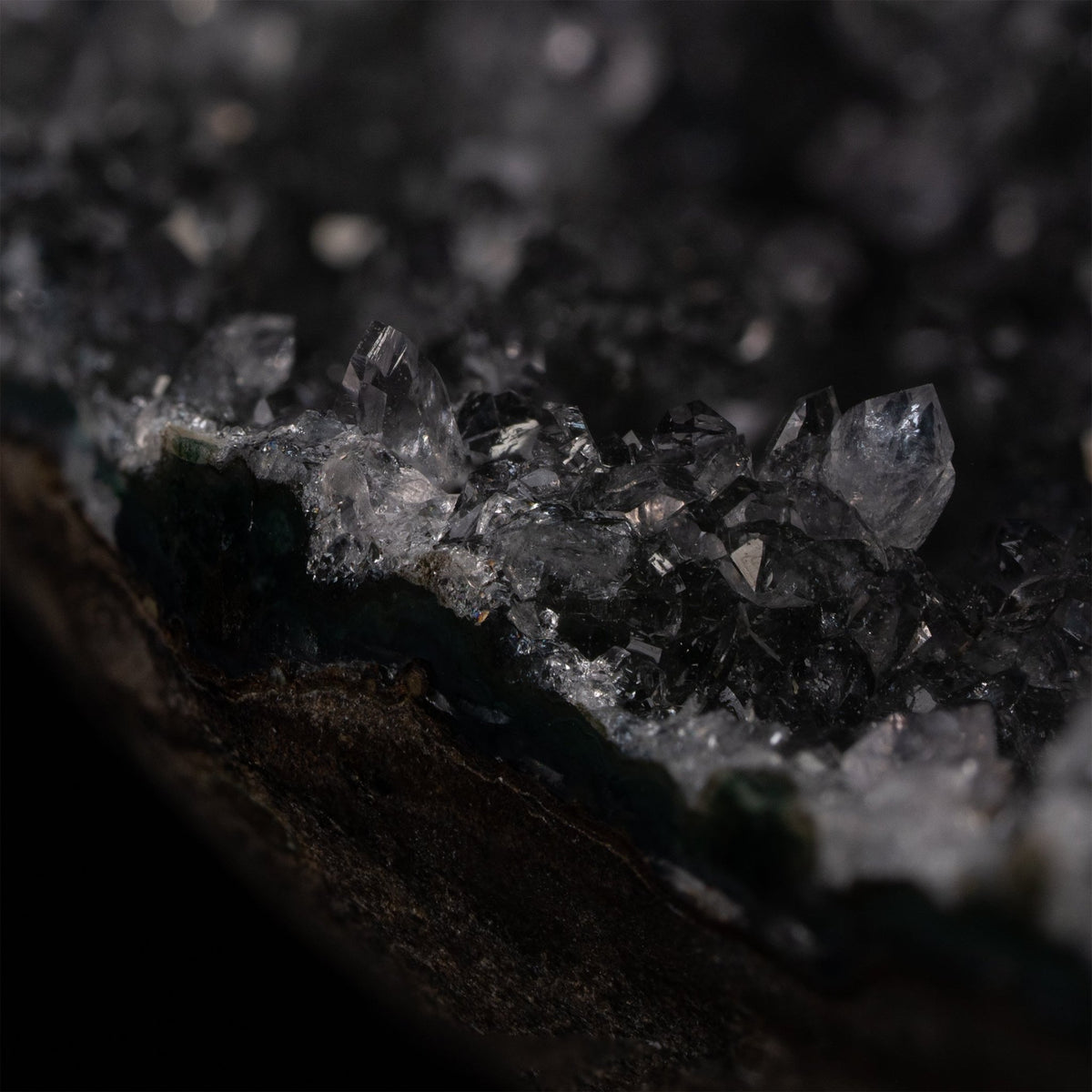 Quarz Druse - ,,Schwarzer Amethyst'' - Epomina