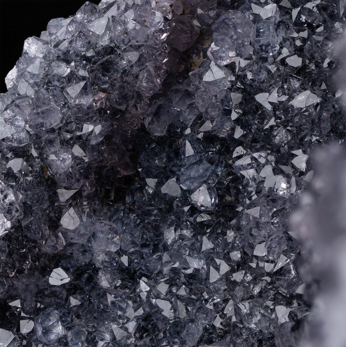Schwarzer Amethyst 5 - Epomina